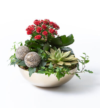 Julegruppe allergivennlig rød Julegruppe allergivennlig rød